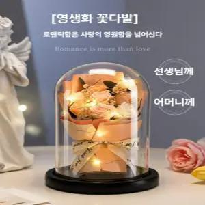 사비오코 어버이날선물 두피마사지빗 스승의날선물