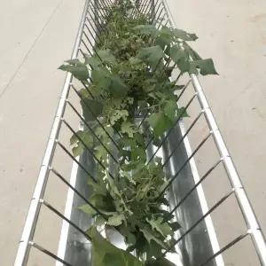 먹이통 사료 여물 사료통 가축 목장 염소 축사 배식통