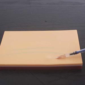 채혈 실습 실리콘 수액 연습 실습용 학습 기본형 패드 가벼운 용품