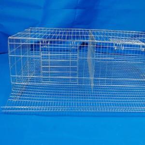 대형 가족농장 메추리 병아리 새 참새 비둘기 앵무새 산란 케이지 사육장