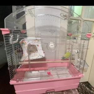 아크릴 대형 새장  투명 플라잉 캐슬 앵무새 케이지  슬라이드 서랍형 베이스 조류 사육장  핀치  카나리아