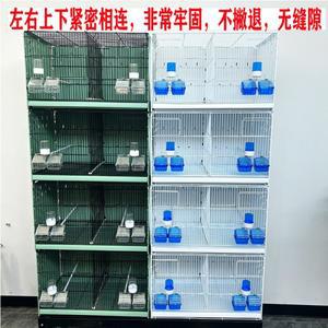 전문 사육용 새장 자연 옥새 카나리아 황금색 파랑 회색 제비 대형 허브리커스 애완동물