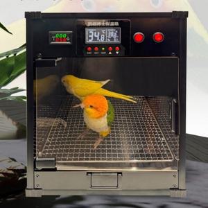 온도 조절식 앵무새 케이지 LED 램프 새  상자 스마트  미니 소형 소형 새장 애완동물 먹이