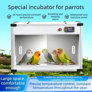 스마트 앵무새 보온 상자 병아리 바람막이 온도 조절 새들 소형 수유용