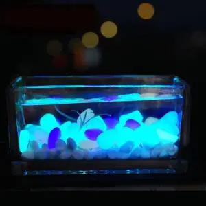 [골드스마일]TBZ 야광자갈 정원 장식 야외 물고기 원예 어항 수족관