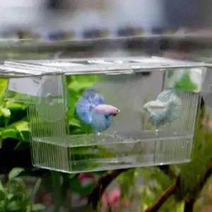 TBZ 수족관 격리상자 물고기 하우스 인큐베이터 부화장 물