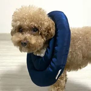 브리더 강아지 넥카라 반려견 고양이 목 깔대기 쿠션 목보호대 S