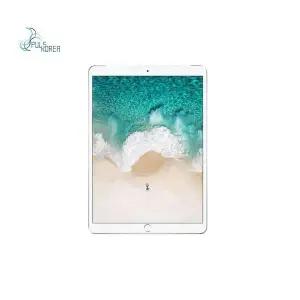 [골드스마일]아이패드 프로 10.5 강화유리 보호필름 1매입