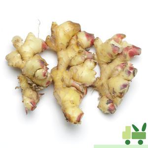 생강 (흙생강) (특) 500g