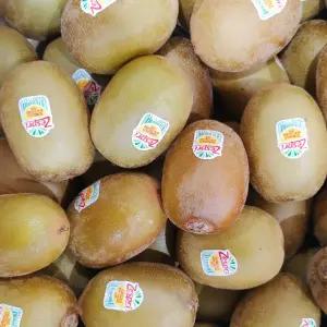 황금열매 뉴질랜드 프리미엄 제스프리 골드키위 2.4kg