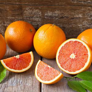 카라카라 오렌지 대과 20과(총4.6kg내외)