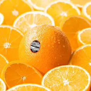 미국산 네이블 오렌지 대과 15입 3.6kg내외 (개별 240g내외)