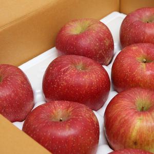 청다한 청송사과 가정용 정품혼합 5kg 소과(21-23과)