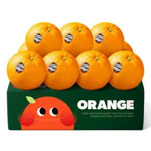 [맛젤]세콰이어 네이블오렌지 대과 3.5kg (개별 240g내외 15개입)