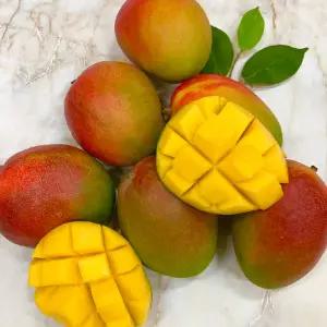 프리미엄 고당도 수입산 애플망고 2kg 4kg