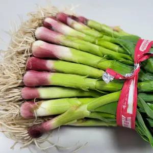 [인정식탁][오늘의채소] 국내산 노지 풋마늘 3kg