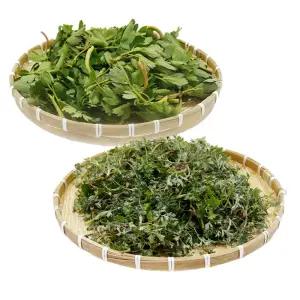 여수 금오도 방풍나물 1kg + 쑥 500g 봄나물 노지쑥 갯기름나물 산나물