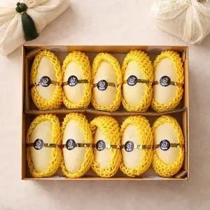 [감동]태국 골드망고 특대과 8-10과 4kg내외