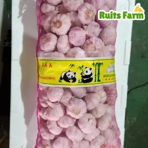 [루츠팜] 중국 마늘 10kg 중국마늘 통마늘 생마늘