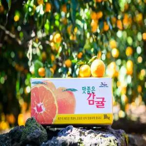 제주 비가림 감귤 5kg 혼합과 고당도 산지 하우스 귤