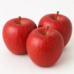 경북 꿀 사과 가정용 10kg 랜덤