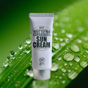 더마팩토리 순한 데일리 선케어 어성초 65% 진정 선크림 50g SPF50+