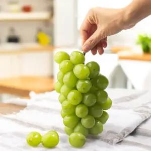 [자연예서]샤인머스캣 2kg(3수) 씨없는 망고포도