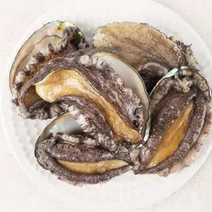 완도 대왕특대 활전복 1kg 5-6미 부직포선물포장