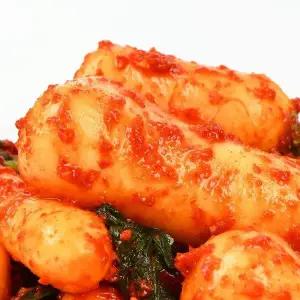 [산해직송] 전라도 매운총각김치 5kg 남도식 매운 알타리