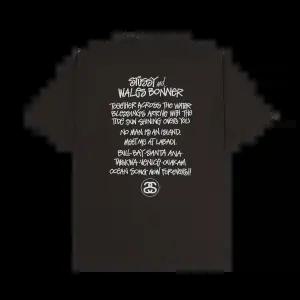 스투시 x 웨일즈 보너 오션 송 반팔 티셔츠 브라운 3904025