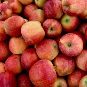 국내산 상품 A급 사과 10kg내외 대과 66-75과