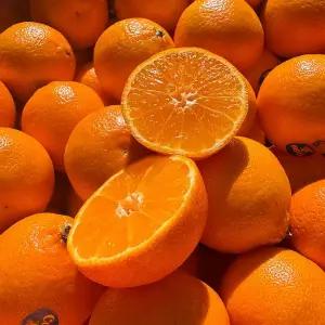 [자연의정] 미국산 초고당도 만다린 감귤 프리미엄 특품 10kg