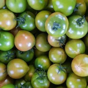 대저 짭짤이 토마토 로얄과 1kg (2s-3s)