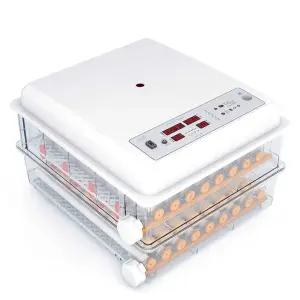 분양 오골계 부화기 병아리 유정란 계란 거위 자동