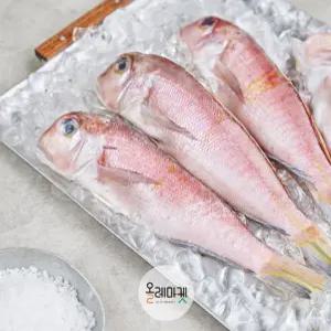 올레마켓 통옥돔 200g*5마리