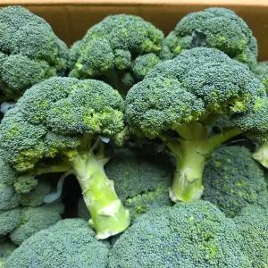 통째로팜 국내산 브로콜리 8kg (특) 박스 대용량