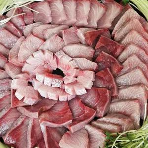 마지막조업 당일바리 10kg급 대방어 필렛 500g 제철 자연산 대방어회