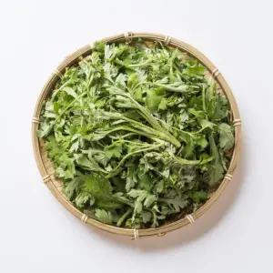 신선한 봄나물 생쑥 해풍 거문도쑥