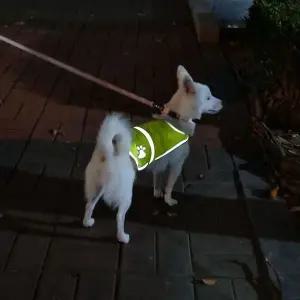 조끼 애견 반사 ZF L