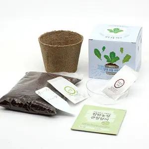 반려식물 화분재배키트 시리즈 키우기 모종