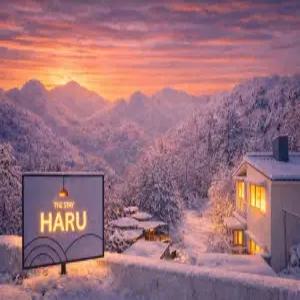 [경기 펜션] 포천 더스테이하루 (포천)