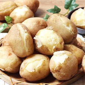 25년산 포근포근한 감자  20kg 대용량