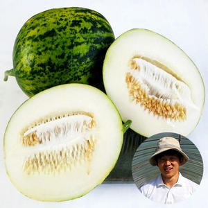 달콤한 고령 파파야메론 5kg/10kg