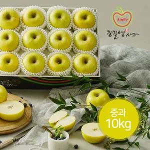 [롯데백화점]장길영사과 [장길영사과] 황금사과 시나노골드 중과 10kg(33-39과)