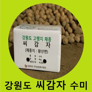 수미 씨감자 (정품) 20kg 보급종 /수미감자/강원도포테이토