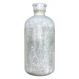 느타리버섯 종균병 1병 성형종균 고품질 버섯키우기