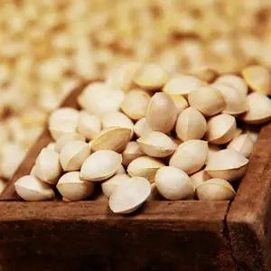 [미스터팜팜][25년햇은행]강천골 은행 피은행 1kg(특) 외피있음