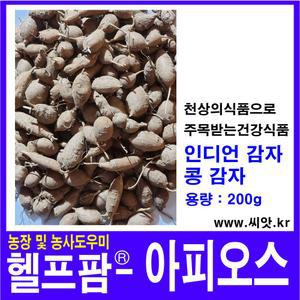 헬프팜 아피오스 200g 인디언감자 콩감자