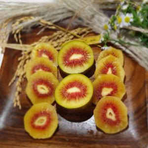 국내산 당도높은 레드키위 3kg(55과이상)소과