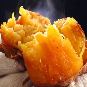 2025년 햇 소리팜 해남 호박고구마 10kg (특상)